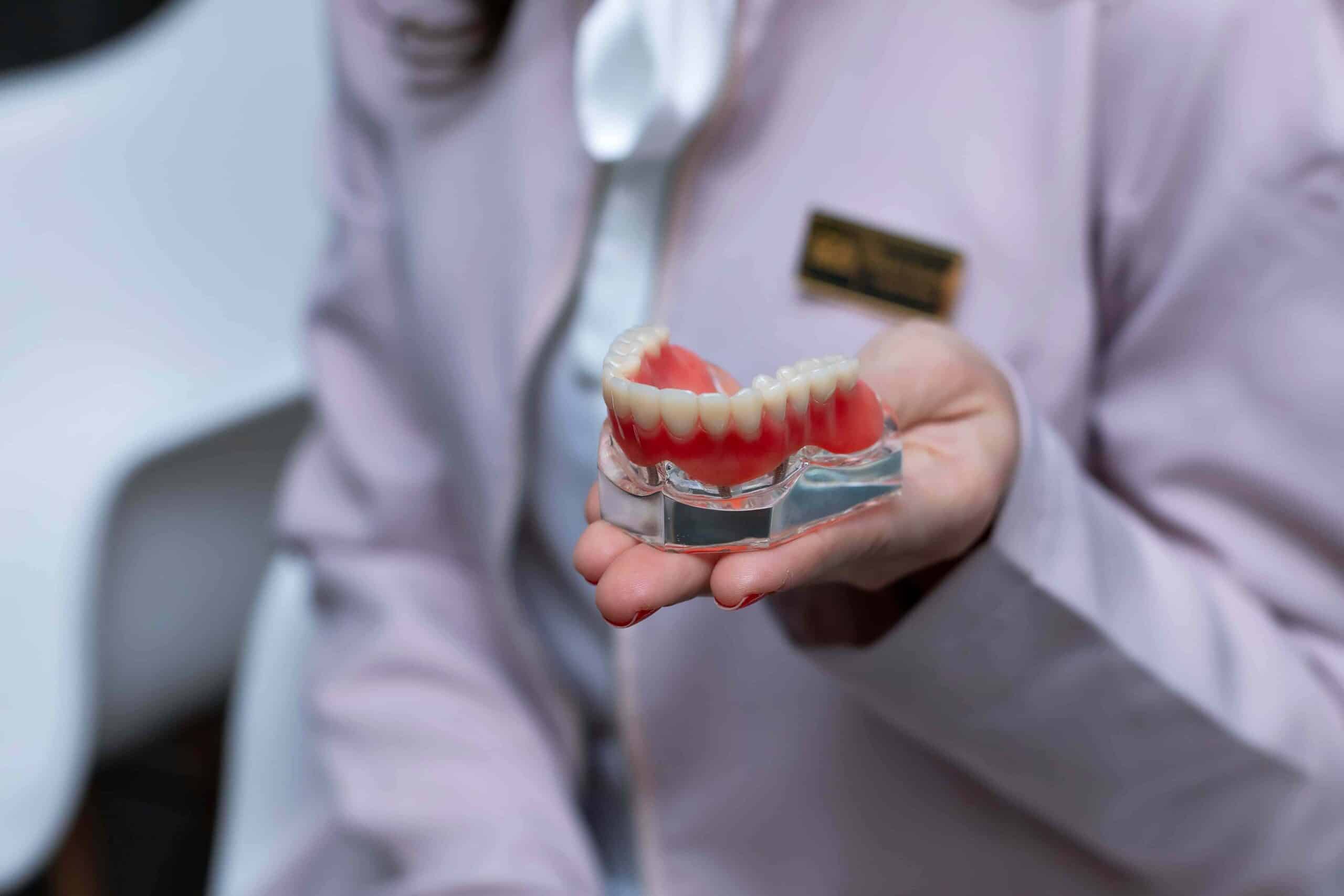 orthodontist holding model teeth
